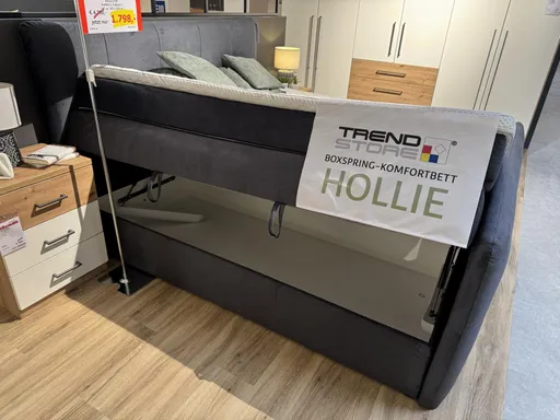 Boxspringbett TRENDSTOTE Hollie